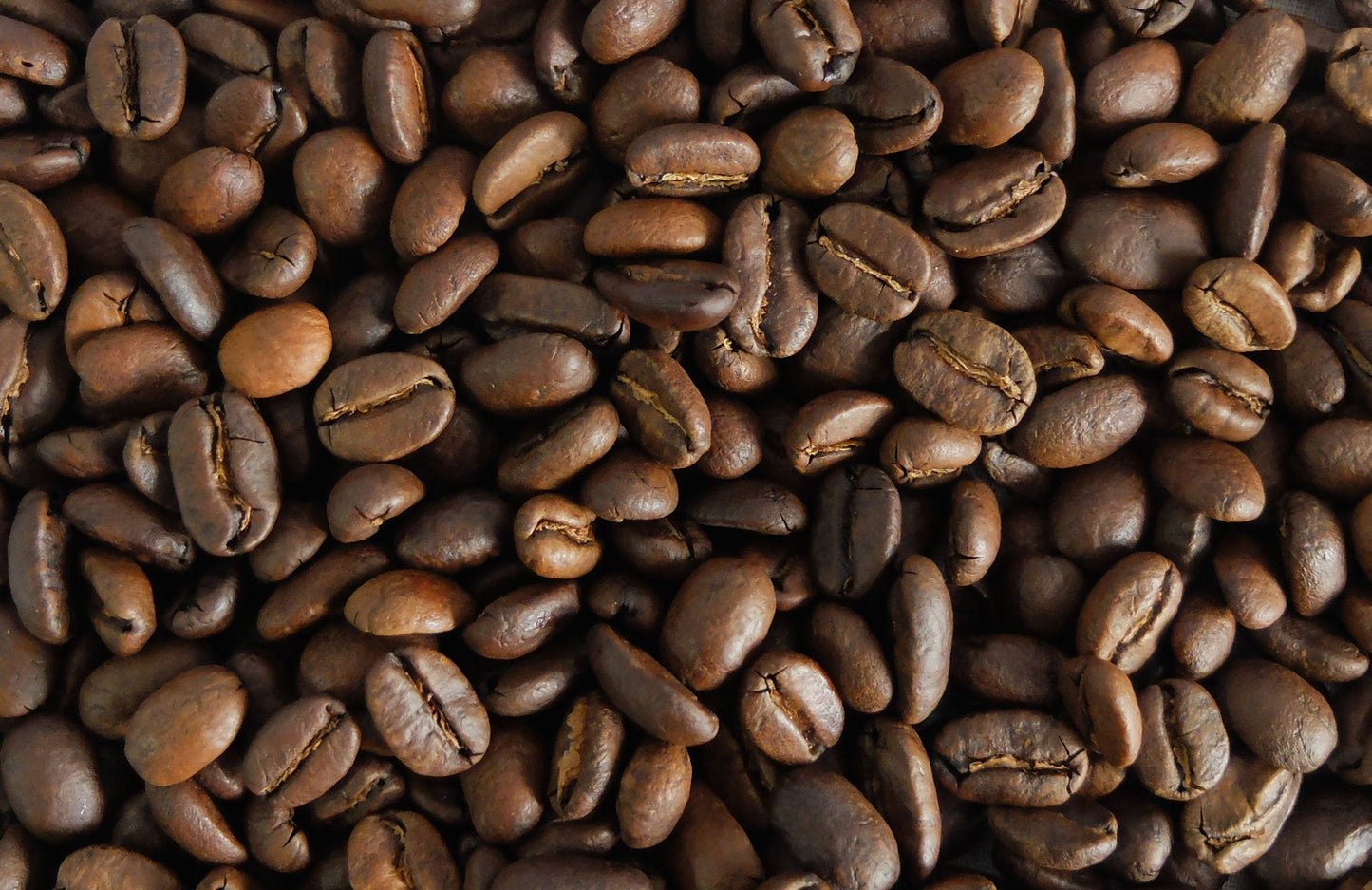 NOM COFFEE 定期便|毎月400g